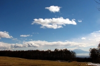 牧草地と富士山