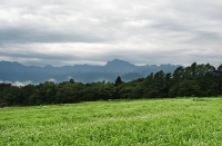 s-0003.jpg