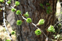 s-0001.jpg