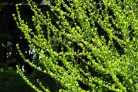 s-0005.jpg