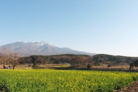 s-0017.jpg