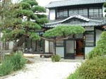 kitsune037