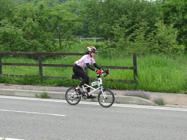 IMG-0354