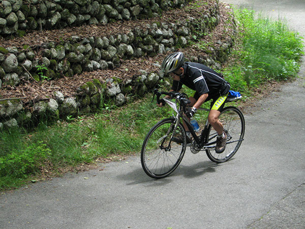 IMG-0329