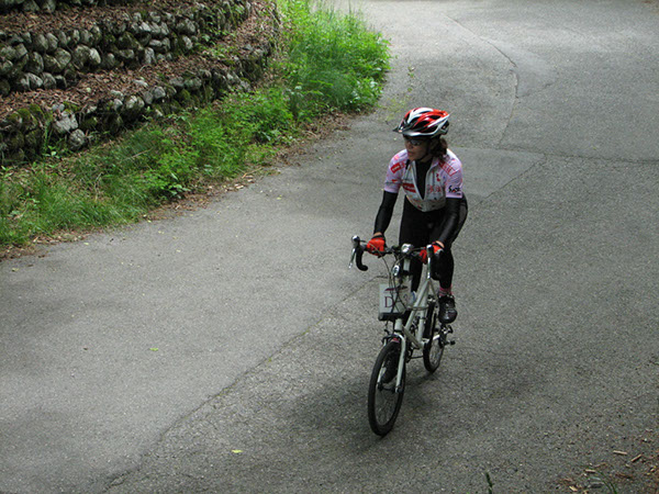 IMG-0323