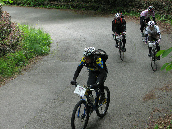 IMG-0317