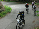 IMG-0317
