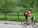IMG-0346